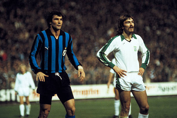 彩的相关活 彩的相关活