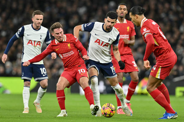 案例是莱斯 案例是莱斯